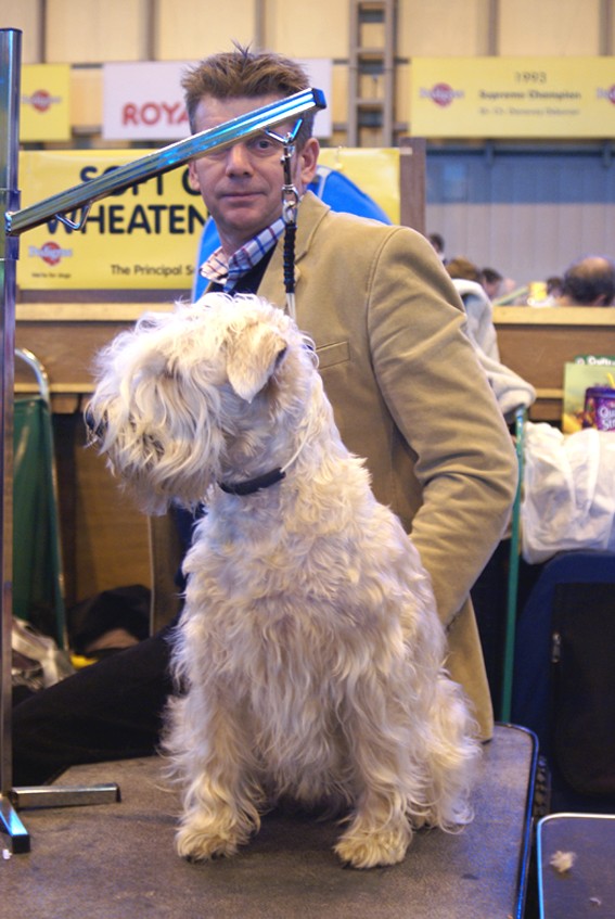 CRUFTS psy i ich właściciele