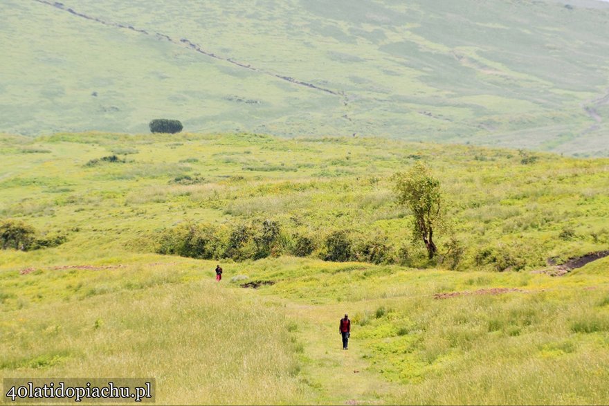 Park Narodowy Serengeti, Tanzania 2021