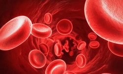 Wszystko, co musisz wiedzieć o anemii