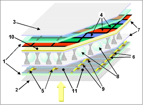 Przekrój przez strukturę wyświetlacza TFT LCD (źródło: Wikipedia). Oznaczenia: 1 – szklane płytki, 2 i 3 – polaryzatory, 4 – kolorowe filtry, 5 i 6 – linie sygnałowe, 7 – warstwa polimerów, 8 – elementy dystansowe, 9 – tranzystory TFT, 10 – przednia elektroda, 11 – tylna elektroda
