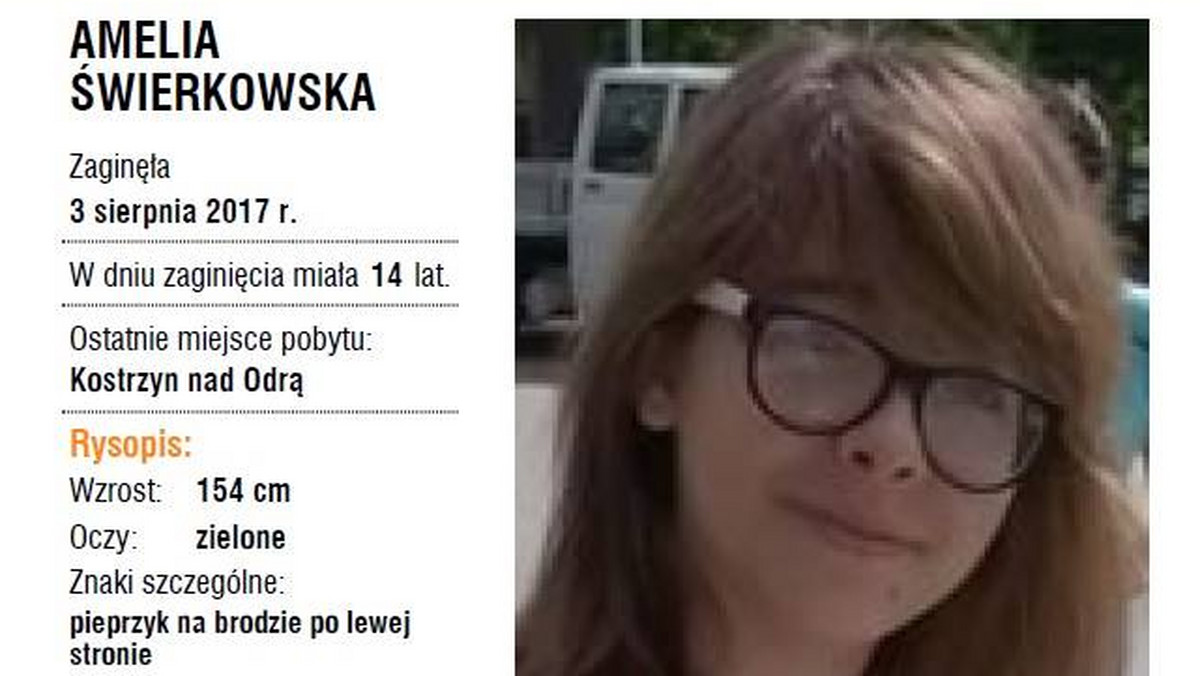 Nastoletnia Amelia Świerkowska zaginęła podczas Przystanku Woodstock w Kostrzynie nad Odrą. Po raz ostatni była widziana 3 sierpnia. "Dziennik Zachodni" skontaktował się z rodzicami 14-latki, którzy podają okoliczności zdarzenia.