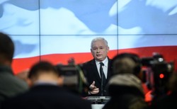 Prezes PiS: Małgorzata Wassermann kandydatem na szefa komisji śledczej ws. Amber Gold