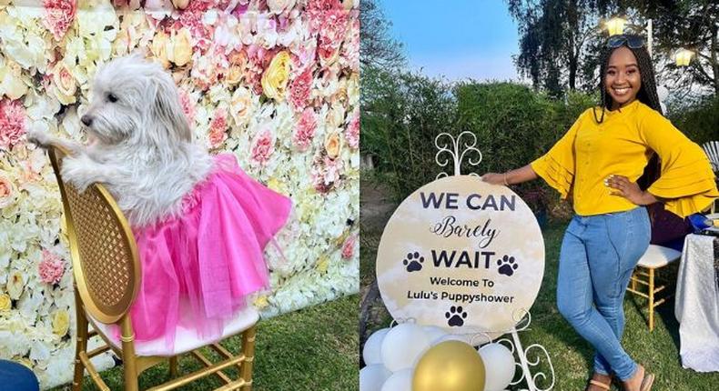 Gloria Kyallo holds lavish puppy shower for her pregnant dog [Photos]