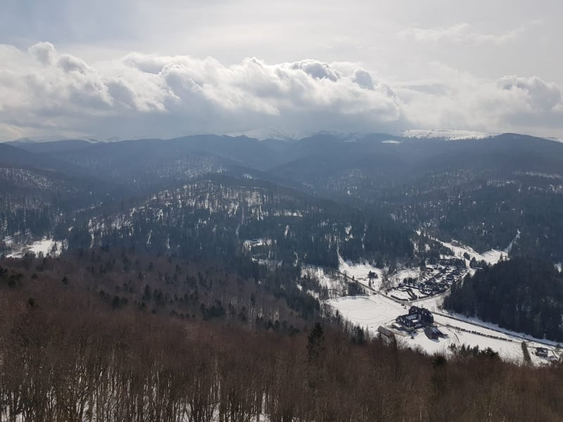 Wieża widokowa na grzbiecie Jeleniowatego w Mucznem, Bieszczady