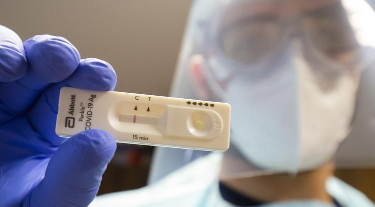 Negatív koronavírus-tesztet mutat a Pécsi Tudományegyetem koronavírus-tesztet végző orvostanhallgatója a kaposszerdahelyi óvodában 2020. november 25-én
