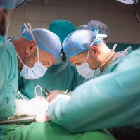 Méhátültetést végeztek a Pécsi Tudományegyetem orvosai