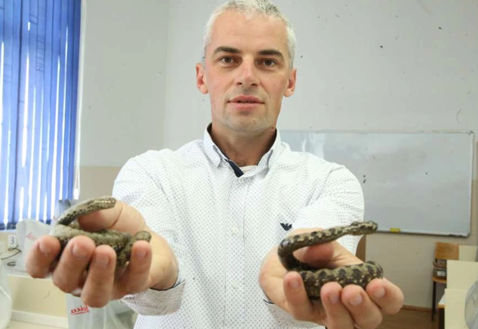 Goran Šukalo, profesor, zmije