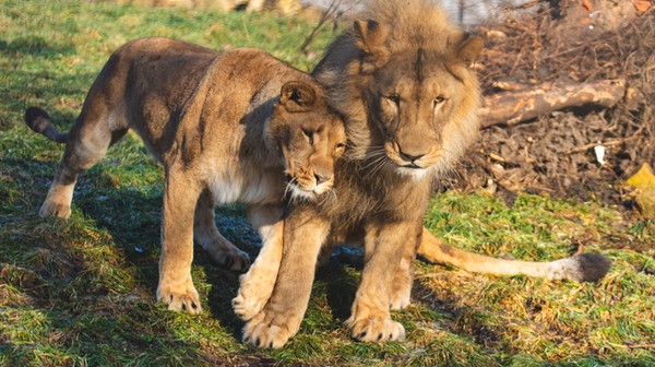 To już jest miłość!