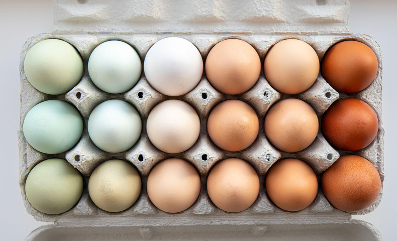 Jajka mogą mieć różne kolory skorupki