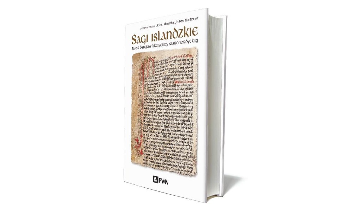 Sagi islandzkie. Zarys dziejów literatury staronordyckiej