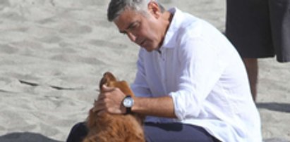 Clooney ma nowego przyjaciela!