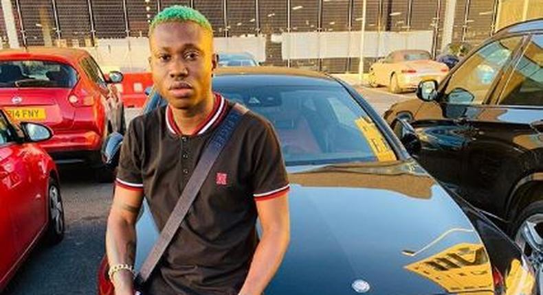 Zlatan is now a proud owner of a beautiful house and two exotic cars [Instagram/Zlatan_Ibile]