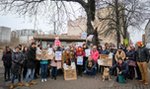 Rzeź kasztanowców przy Raciborskiej. Katowiczanie nie przebierają w słowach