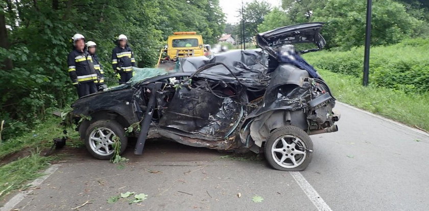 Uderzył w drzewo i wypadł z samochodu. Zdjęcia