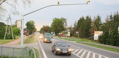 Polscy piraci drogowi bezkarni? Potężna luka w systemie!