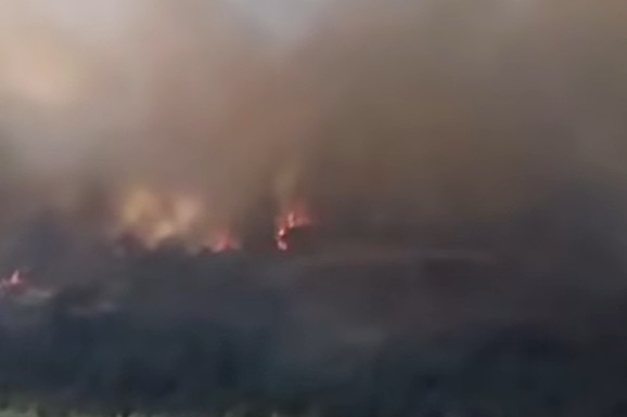 (FOTO, VIDEO)OGROMAN POŽAR GUTA POZNATO LETOVALIŠTE U SRPSKOM KOMŠILUKU! Jaka bura raspiruje vatru, dignuti AVIONI, šire se jezivi snimci