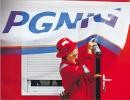 PGNiG wydobyło 1,15 mld m3 i sprzedało 5,4 mld m3 gazu w I kw. 2013 r.