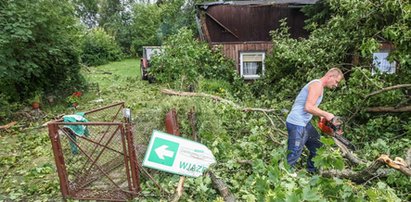 Animal Patrol zorganizował zbiórkę. Pomożesz?