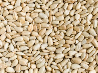 Kernel zwiększył przerób ziarna słonecznikowego o 5% r: r w II kw. r. obr.