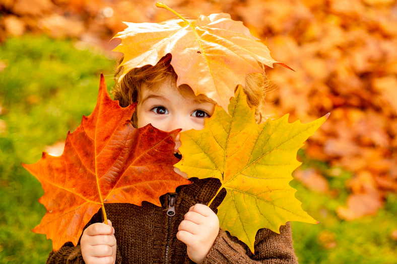 Jesienią liście przybierają różne barwy