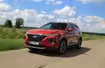 Hyundai Santa Fe 2.0 CRDi - SUV dla dużej rodziny