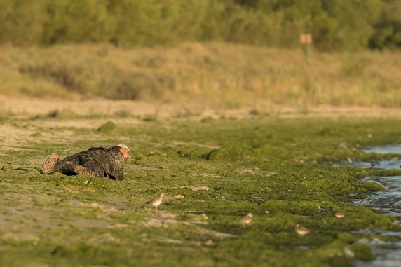 Fotografia przyrodnicza po drugiej stronie lustra