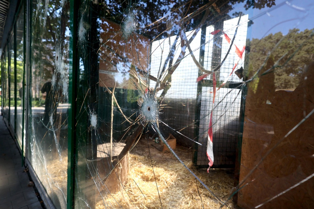 Restoration of Kharkiv ecopark