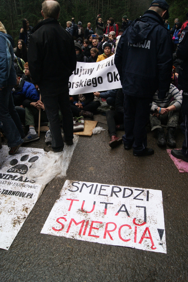 Fiakrzy rozpędzili protest obrońców zwierząt