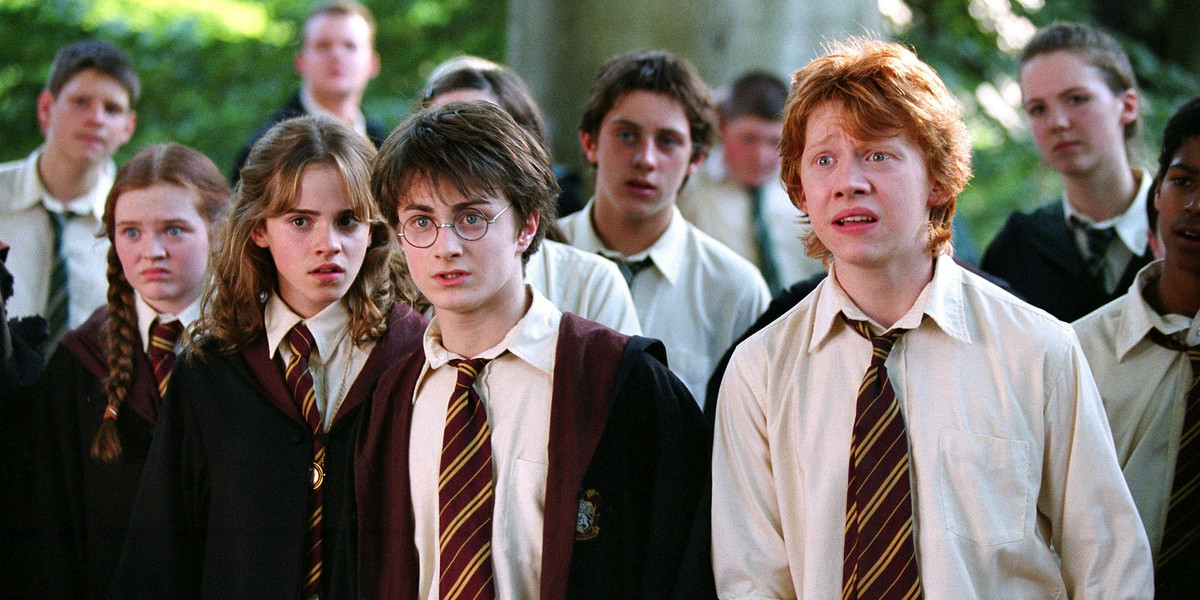 W całej serii książek o przygodach Harry’ego Pottera bohaterowie doświadczają trudności związanych z byciem innym