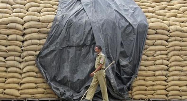 Sudan's finance ministry scraps subsidy for imported wheat purchases