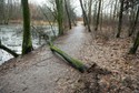 Burze śnieżne. Potężne wichury w Wielkopolsce. Ponad 30 tys. osób bez prądu