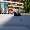 Čačak