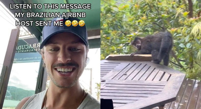 Brian Luebben's Airbnb in Brazil was prone to monkey break-ins.@brianluebben/TikTok