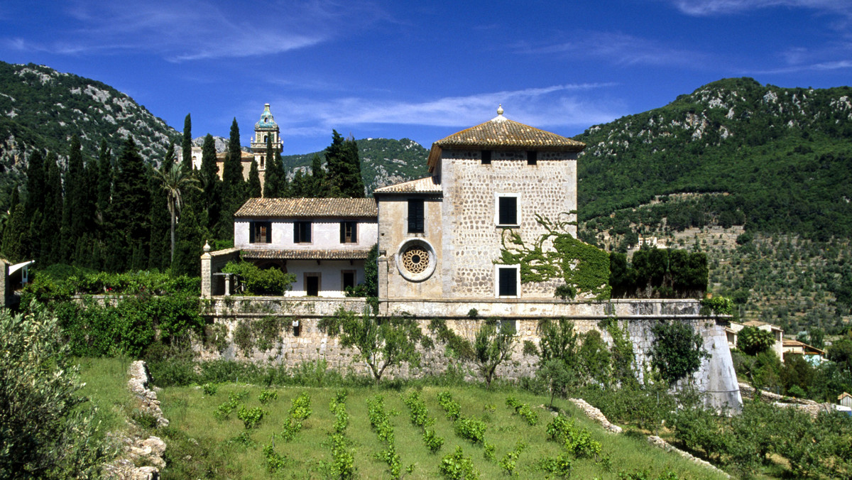 Tradycje uprawy winorośli przywieźli na Baleary Rzymianie. Już w I w. p.n.e. historyk i pisarz rzymski - Pliniusz Starszy porównywał wina z Balearów z najlepszymi winami Italii.