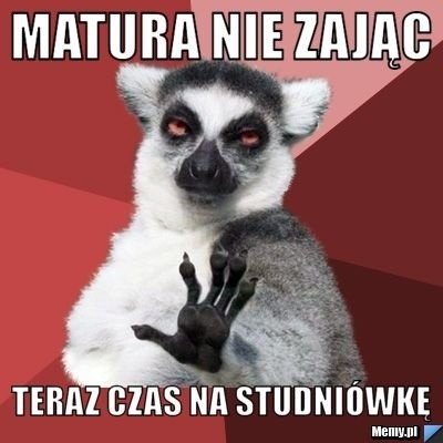 Najlepsze memy o studniówkach. Internauci w fomie