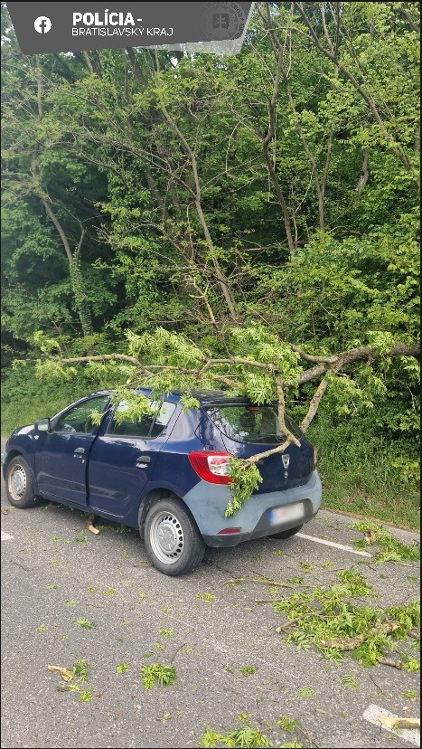 Na auto spadol z nezistených príčin strom.