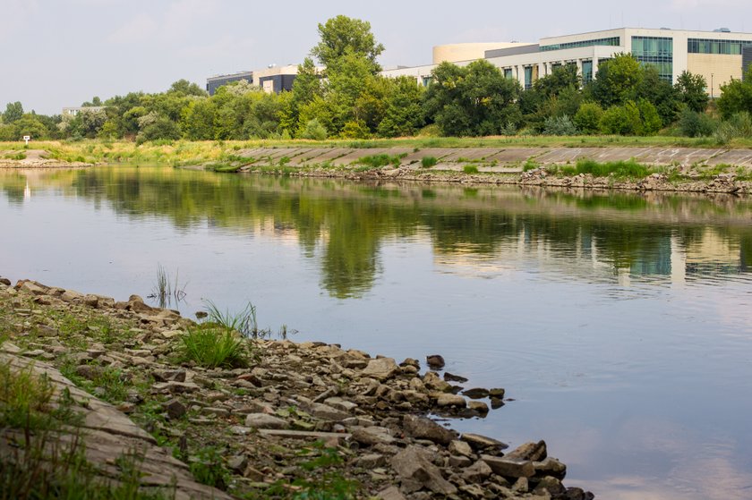 Miasto da 100 tys. zł na zarybianie