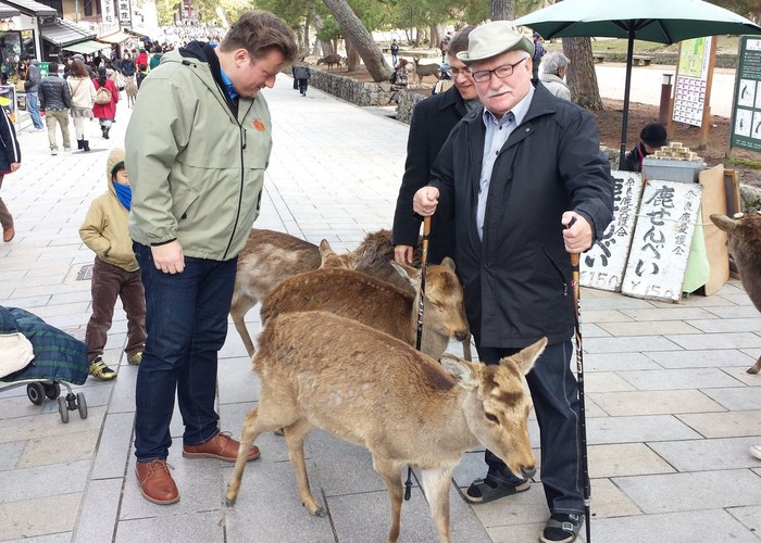 Ego większe niż Stocznia
