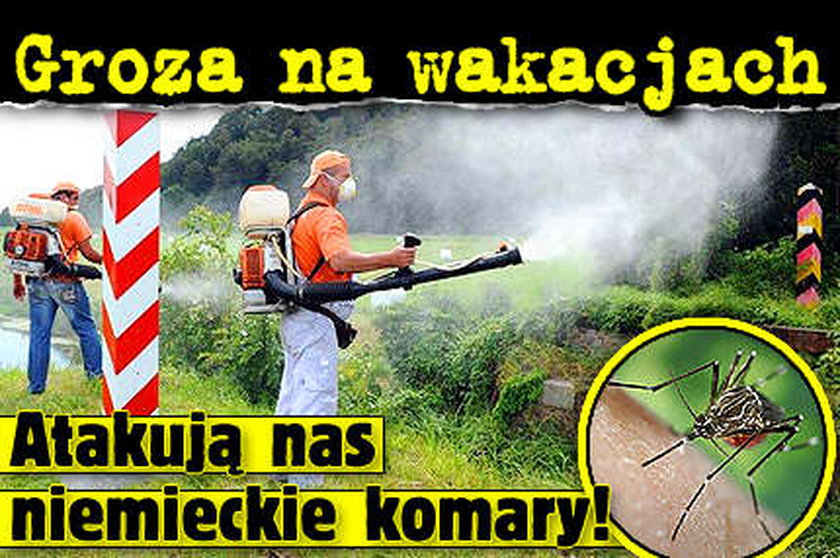 Groza na wakacjach. Atakują nas niemieckie komary!