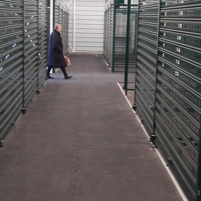 Mnogi misle da je sve napušteno