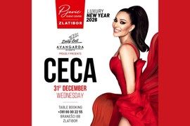 Najveće zvezde i najluksuzniji dočeci u Srbiji - sve ponude na jednom mestu