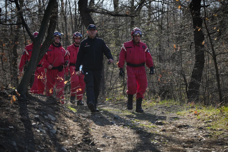 Potraga za Dankom Ilić