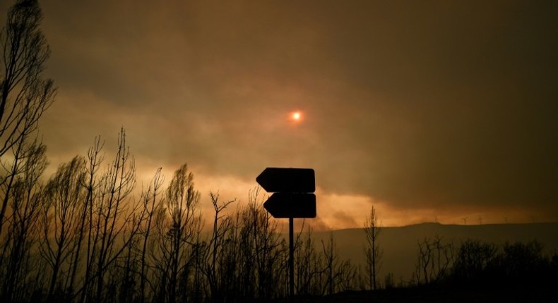 Portugal declared three days of national mourning after the deadliest forest fire in its recent history