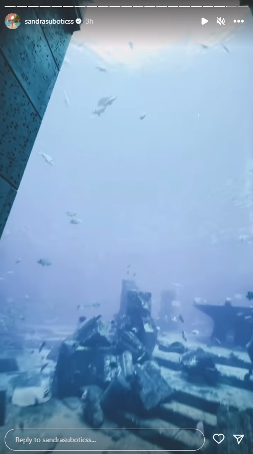 Aleksandra Subotić uživa u luksuzu