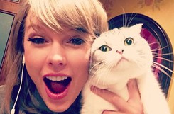 Taylor Swift z piosenką do musicalu 'Koty'. Posłuchaj nagrania 'Beautiful Ghosts'