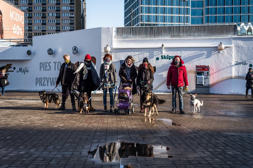 Rasowy Kundel. Charytatywny mural powstał w centrum Warszawy!