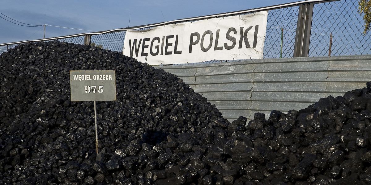 Na rekompensaty dla sprzedawców węgla, rząd chce przeznaczyć 3 mld zł.