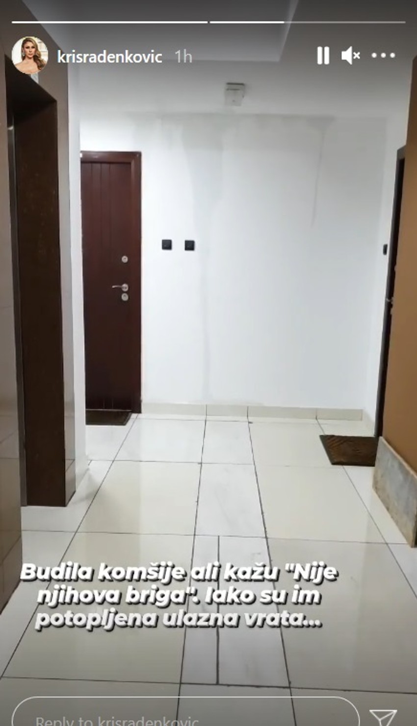 Kristina Radenković - objava 