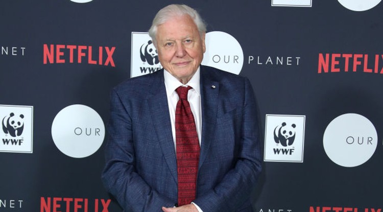 David Attenborough