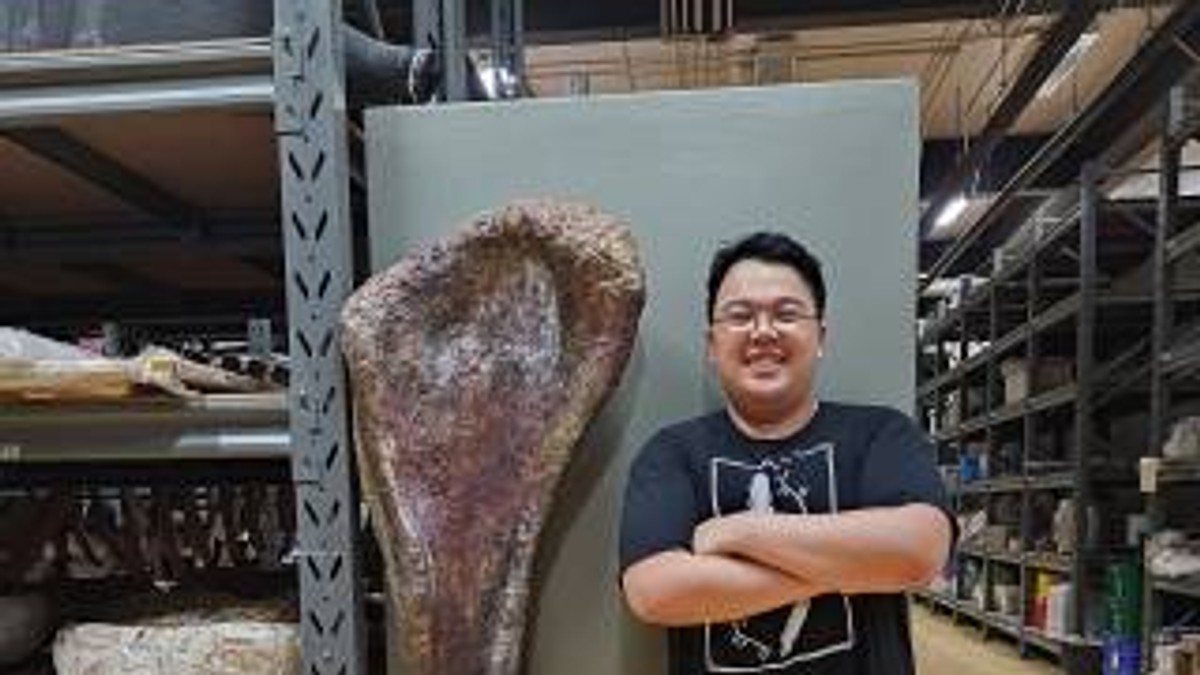 Novootkriveni dinosaurus